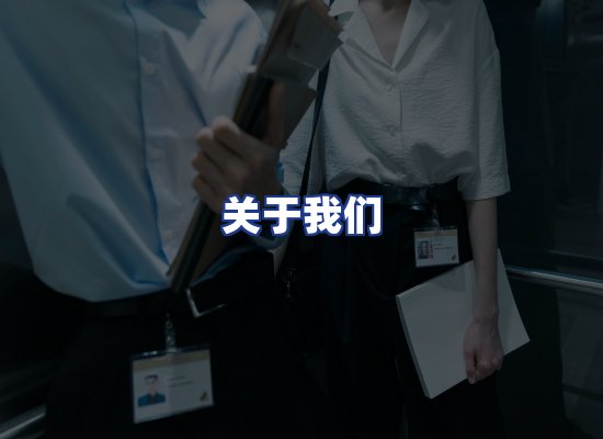 专业团队